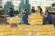 Xuất khẩu cao su giảm mạnh